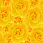 肥満解消など序の口、期待の星・腸内フローラ