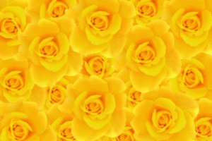 肥満解消など序の口、期待の星・腸内フローラ